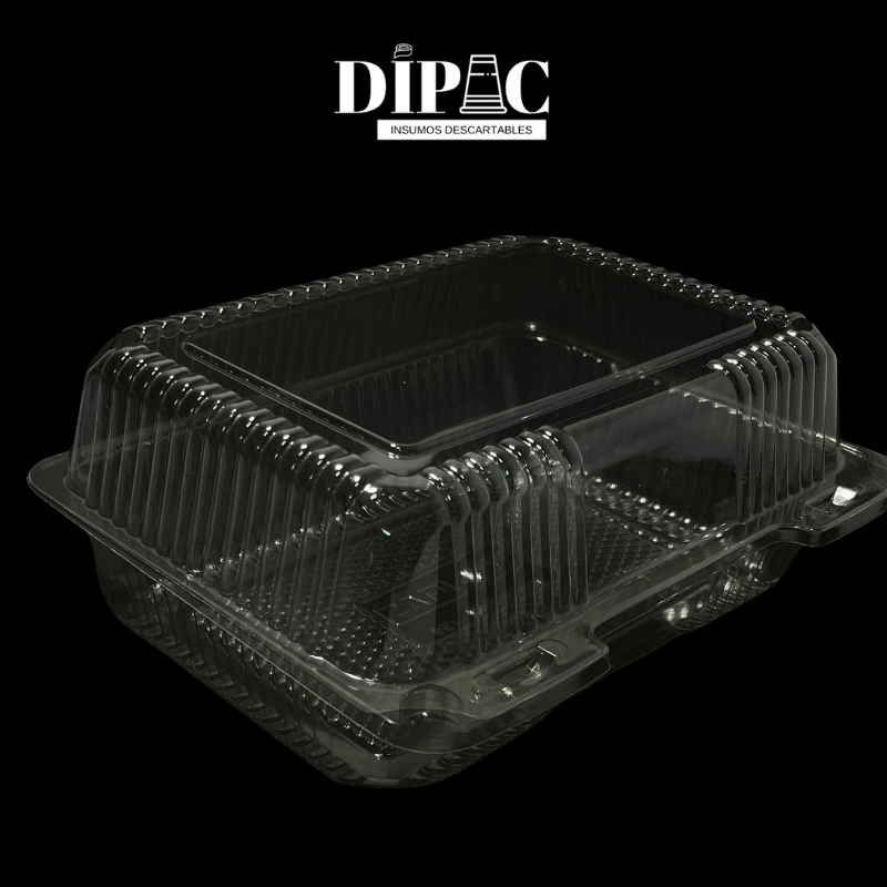 Estuche transparente con tapa bisagra