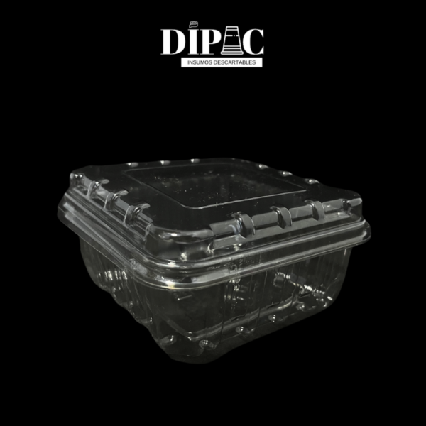 Estuche ZF 160 Pote bisagra transparente para frutillas o arándanos.